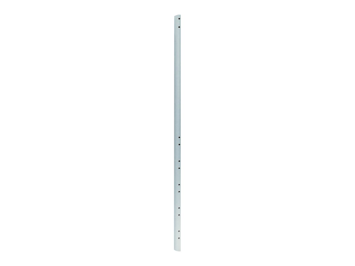 NEOMOUNTS FPMA-CP150 Ceiling Ext. Pole