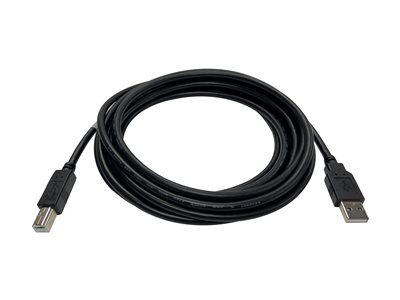 Black Box - USB cable