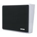 Valcom InformaCast VIP-410A-IC-V4