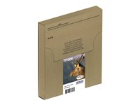 EPSON 1LB Multipack 3-colours T1306