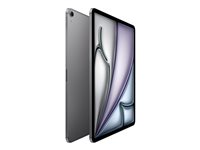 Apple iPad Air 13'' - M3 - 128 Go- 5G - gris sidral