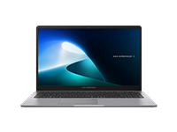 ASUS ExpertBook P1 P1503CVA-P516512-CA