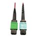 Tripp Lite 400G MTP/MPO Multimode OM4 Plenum-Rated Fiber Cable, 16F MTP/MPO-APC to 24F MTP/MPO-UPC, Magenta, 1M