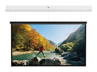 Da-Lite DescenderPro projection screen - 86" (218 cm)