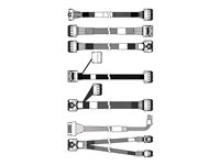 Lenovo storage cable kit