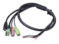 Vivotek AO-006 - Camera breakout cable