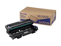 BROTHER KIT TAMBOUR 20000 PAGES