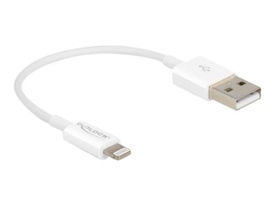 DELOCK USB Daten-/Ladekabel iPhone/iPad/iPod 15cm weiß - 83001