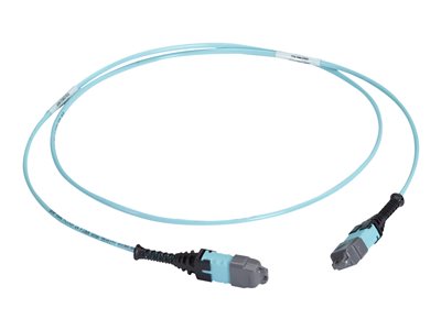 Black Box - Trunk cable