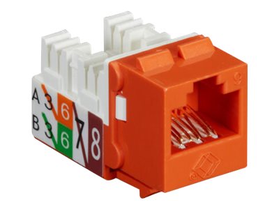 Black Box GigaTrue2 CAT6 Jack