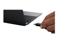 BELKIN Câble USB4 en 0.8m