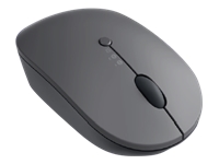 Lenovo Go Multi-device - Mouse - blue optical - 3 buttons - wireless - 2.4 GHz, Bluetooth 5.0 - USB-C wireless receiver - thunder black