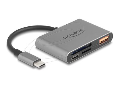 DELOCK USB-C Card Reader für SD und Micro SD Speicherkarten