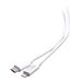 C2G 6ft (1.8m) USB-C Male to Lightning Male Sync and Charging Cable