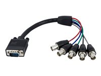 StarTech.com 1 ft. (0.3 m) VGA to BNC Cable - HD15 VGA to 5 BNC - Male/Female - BNC Cable (VGABNCMF1) - VGA cable - 30 cm