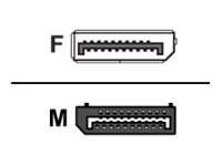 Raritan - DisplayPort adapter