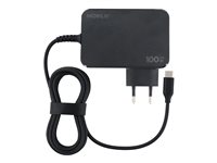 Mobilis Adapter 100Watt 1xUSB-C