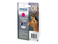 EPSON 1LB T1303 ink cartridg Magenta
