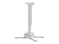 Chief CPA116 mounting kit - for projector - white