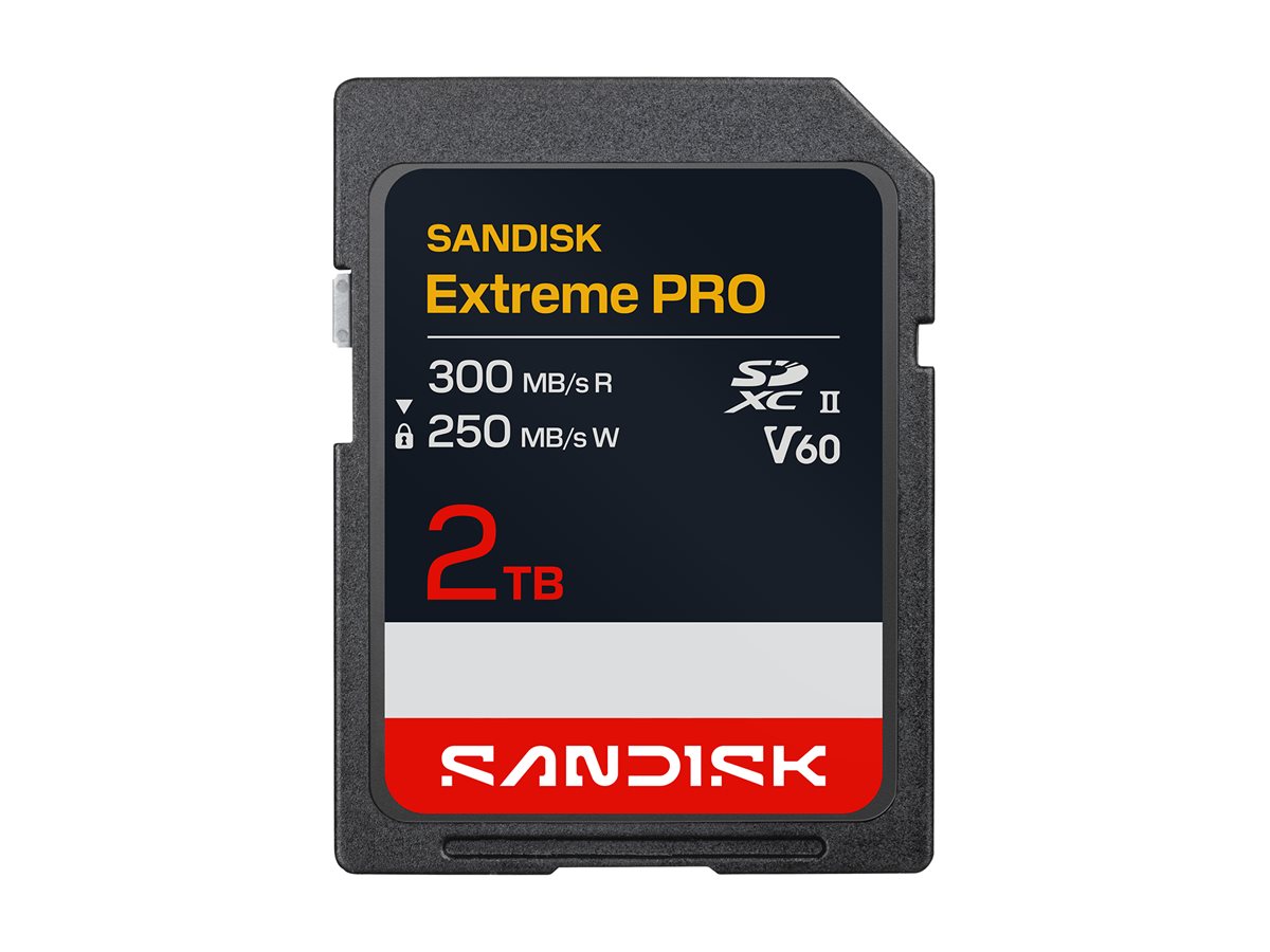 SanDisk Extreme PRO - Flash memory card