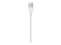 Apple Lightning cable - Lightning / USB - 1 m