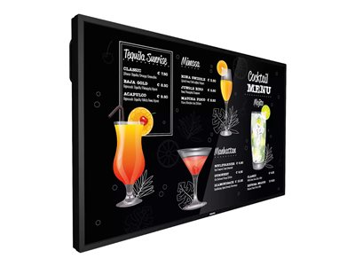 Philips 55BDL3017P - 55" Diagonal Class (54.6" viewable)