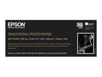 Epson Papier grand Format C13S045054