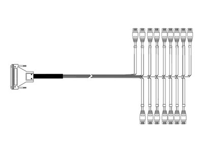 AudioCodes - Trunk cable