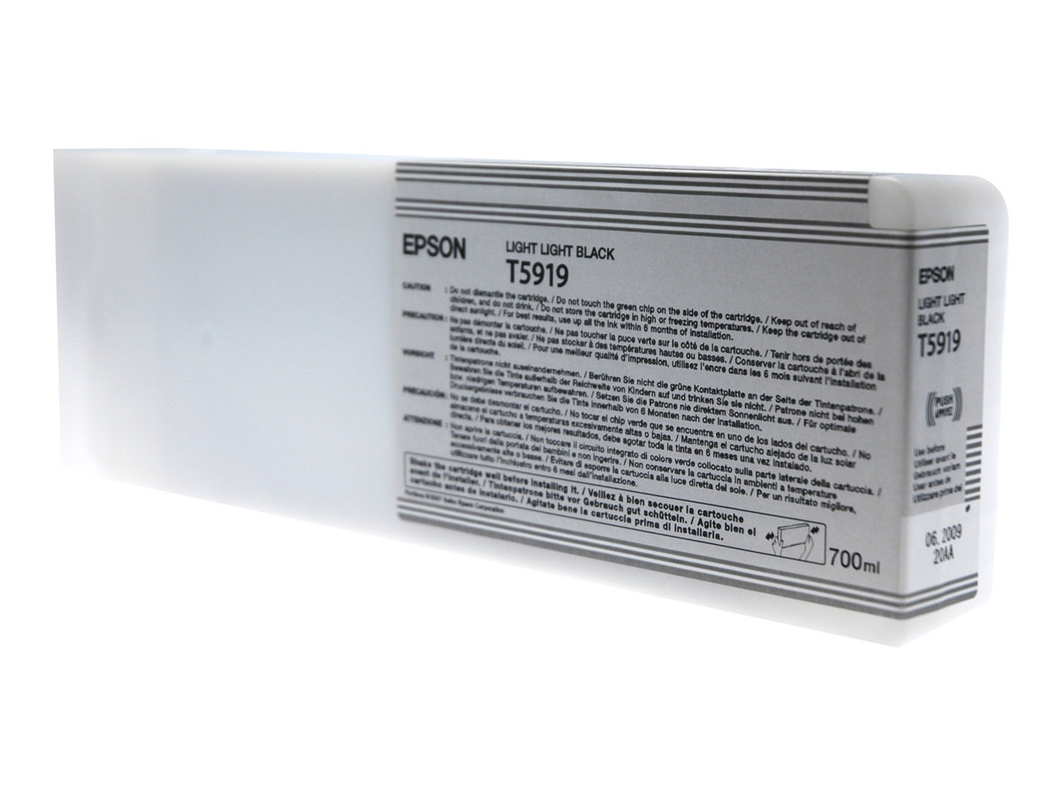 EPSON 5LB T5919 ink cartridge light