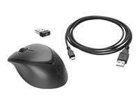 HP Premium - Mouse - right and left-handed - laser - 3 buttons - wireless - 2.4 GHz - USB wireless receiver - black - Smart Buy