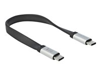 DeLOCK USB 3.2 Gen 2 USB Type-C kabel 22cm Sort Sølv