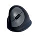 R-Go Ergonomic mouse HE Break