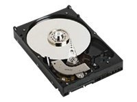 DELL 2TB 7.2K 3.0GBPS SATA HDD