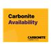 Carbonite Professional Services Custom Implementation