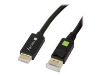 TECHly Videoadapterkabel DisplayPort / HDMI 2m Sort