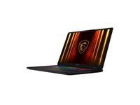 MSI Crosshair 9S7-184111-007