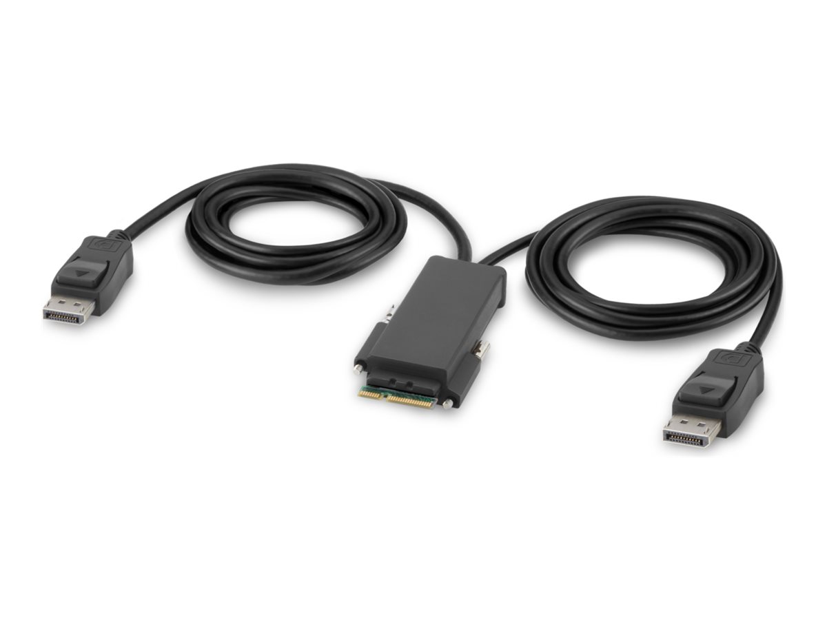 Belkin Modular Secure Dual Head