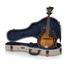 Gator Cases Journeyman Series GW-JM MANDOLIN