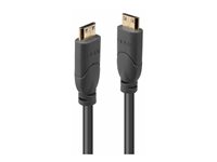 LINDY Mini HDMI/Mini HDMI Cable 2m
