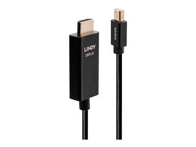 adapter cable - DisplayPort / HDMI - 1 m