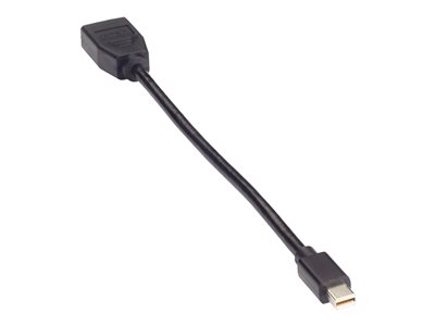 Black Box Video Adapter Dongle