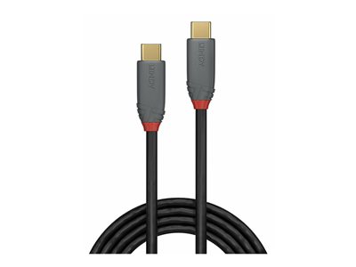LINDY 3m USB 3.2 Typ C Kabel 10Gbit/s 10