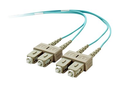 Belkin 10 Gig Aqua - Patch cable