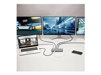 LINDY - docking station - USB-C 3.2 Gen 1 / Thunderbolt 3 / Thunderbolt 4 - HDMI, 2 x DP - 1GbE