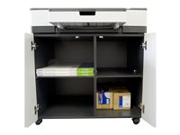 EPSON SP Cabinet