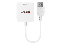 Lindy - external video adapter