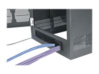 Middle Atlantic 38RU Cable Entry Rear Door for BGR Racks - cable entry rear door - 39U