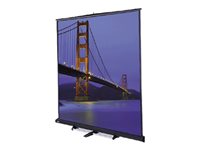 Da-Lite Floor Model C Square Format Projection screen ceiling mountable, wall mountable 