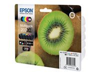 Epson Cartouches Jet d'encre d'origine C13T02G74010