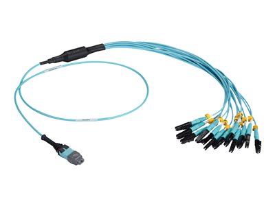 Black Box - Network cable